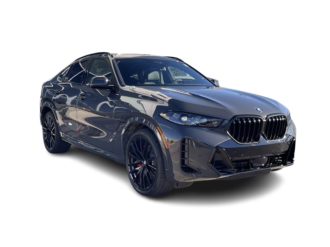 2026 BMW X6