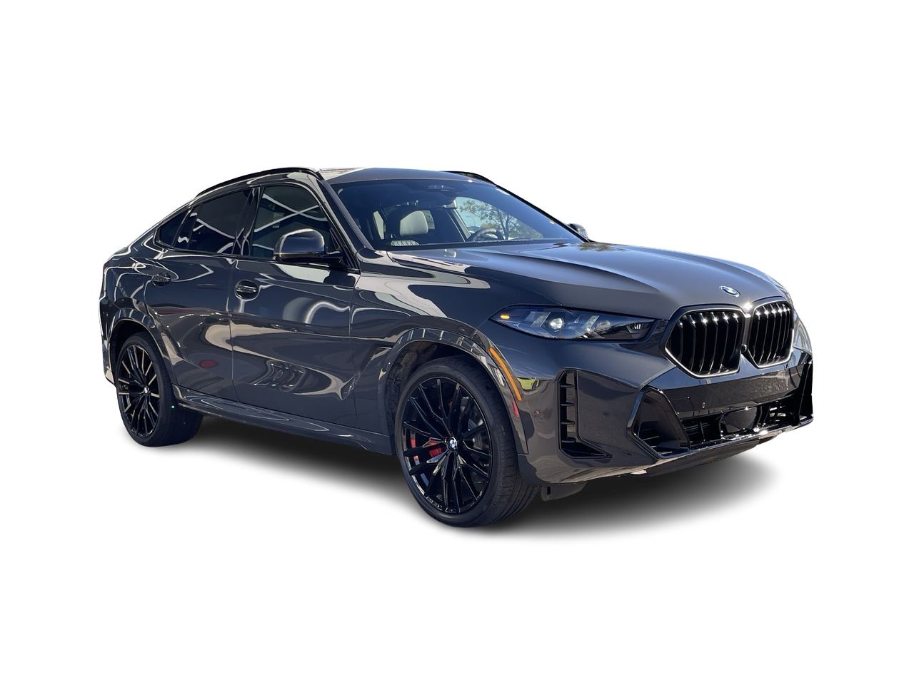 2026 BMW X6