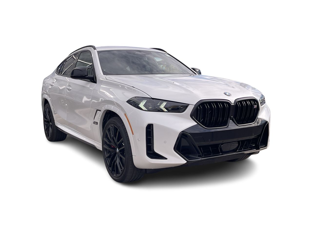 2026 BMW X6