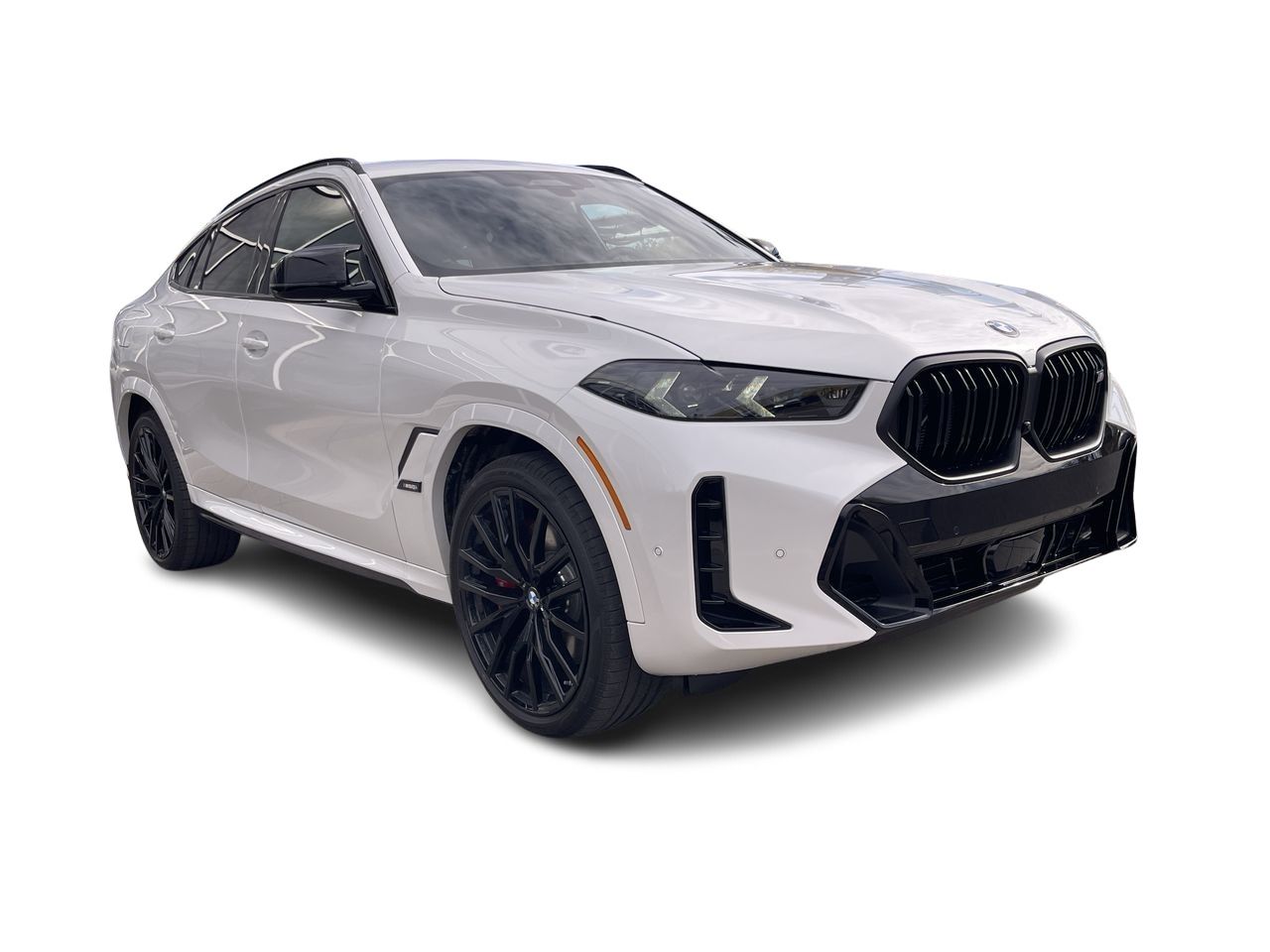 2026 BMW X6