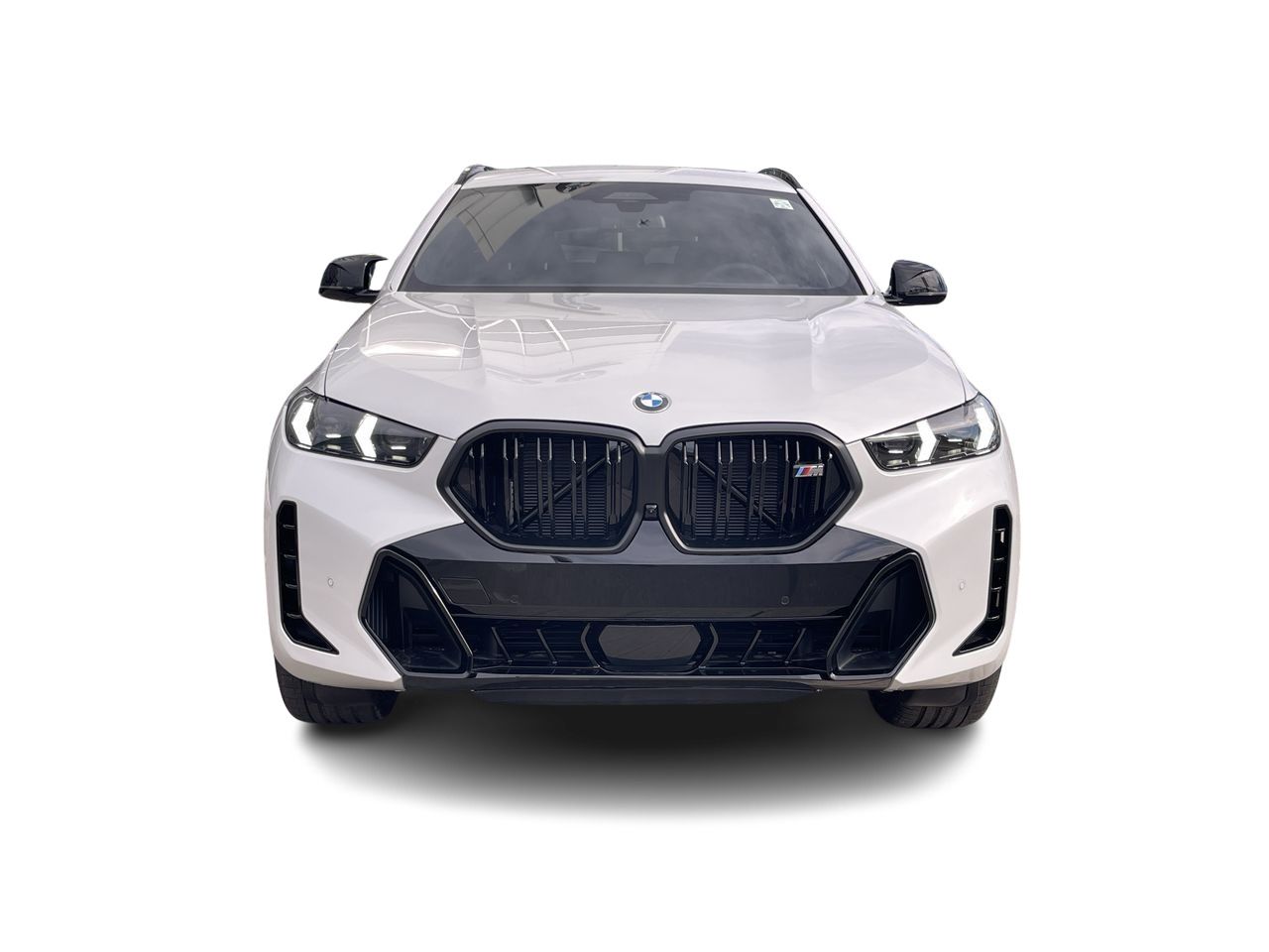 2026 BMW X6