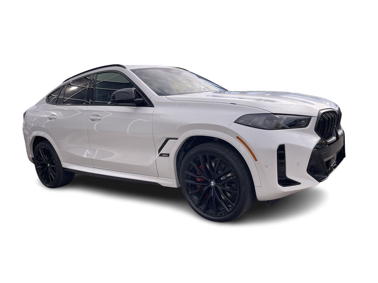2026 BMW X6