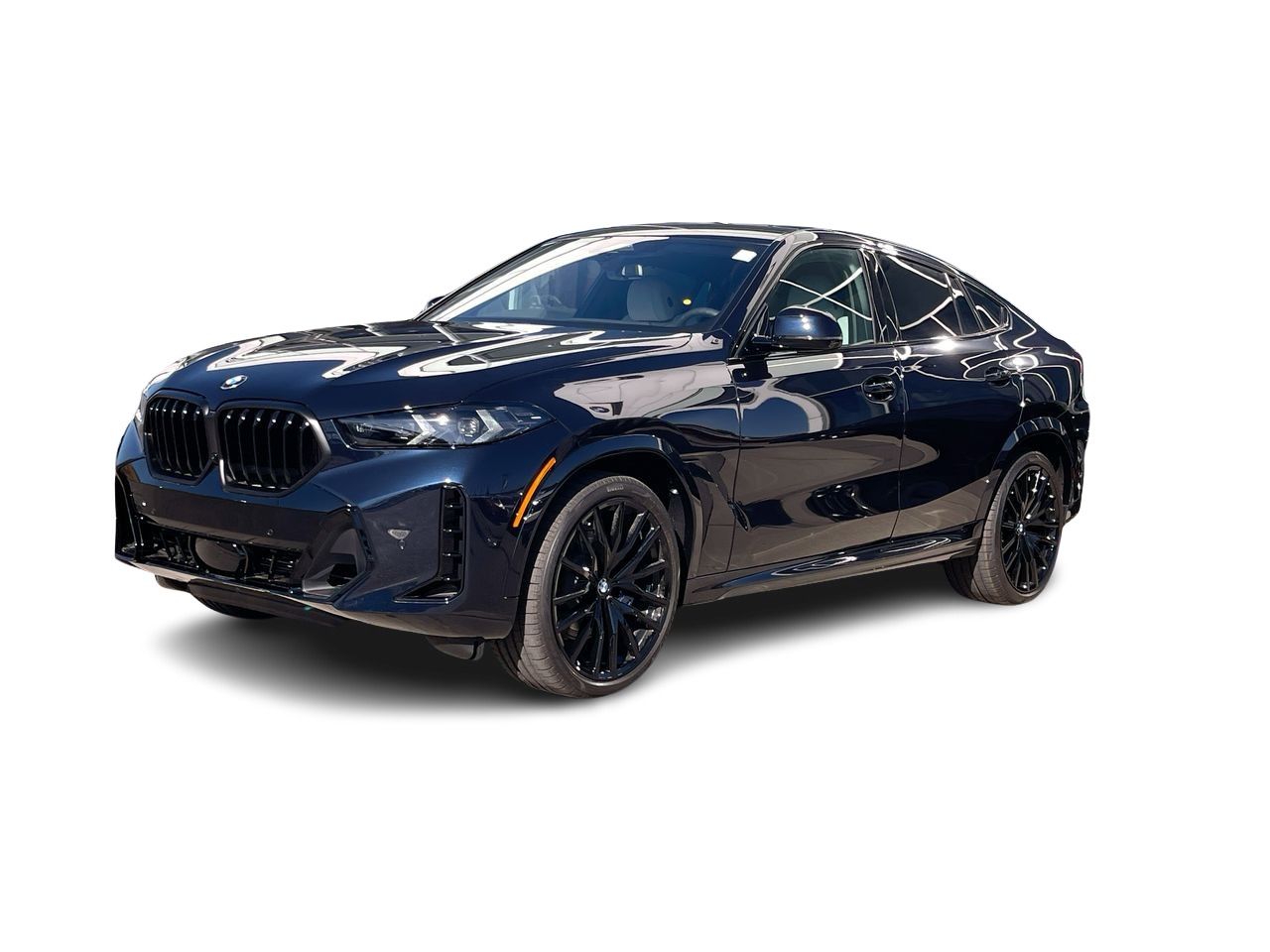 2026 BMW X6