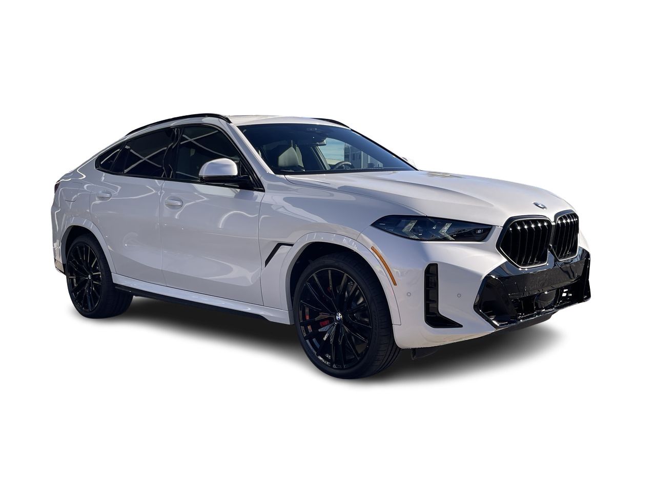 2026 BMW X6