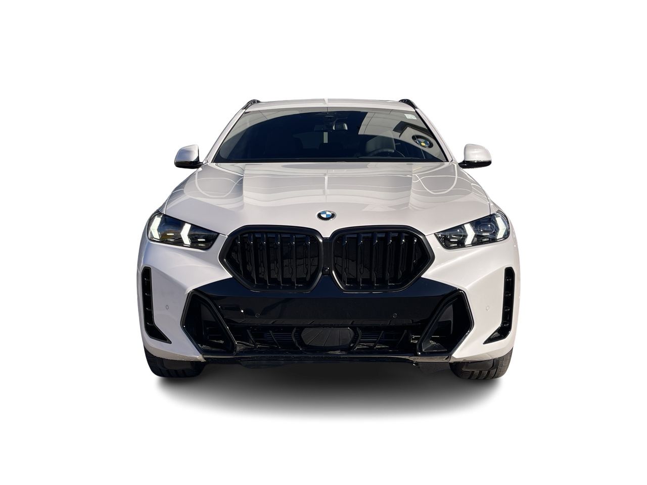 2026 BMW X6