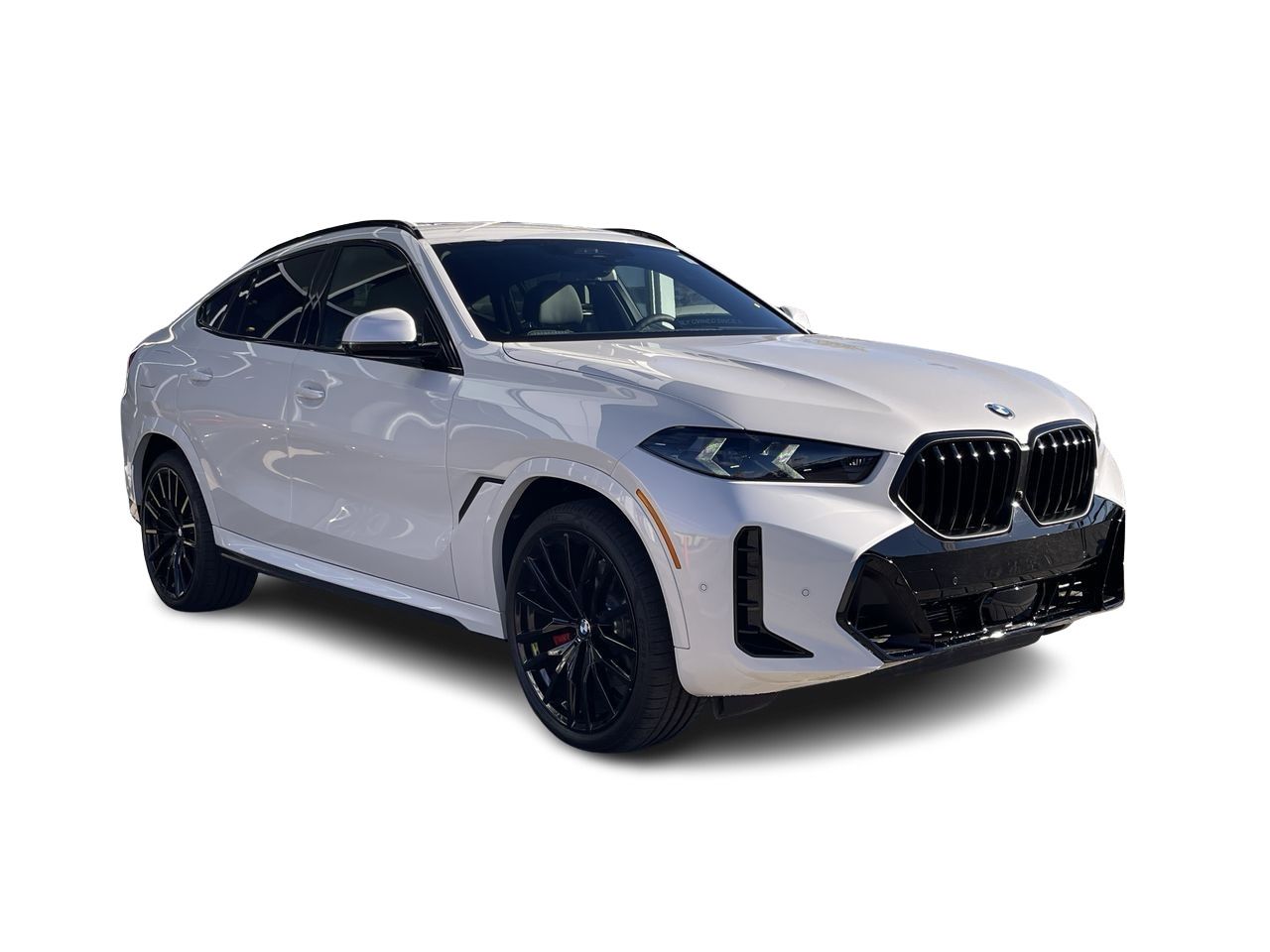 2026 BMW X6