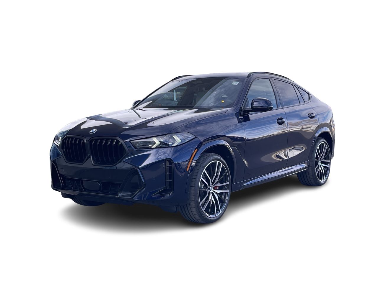 2026 BMW X6