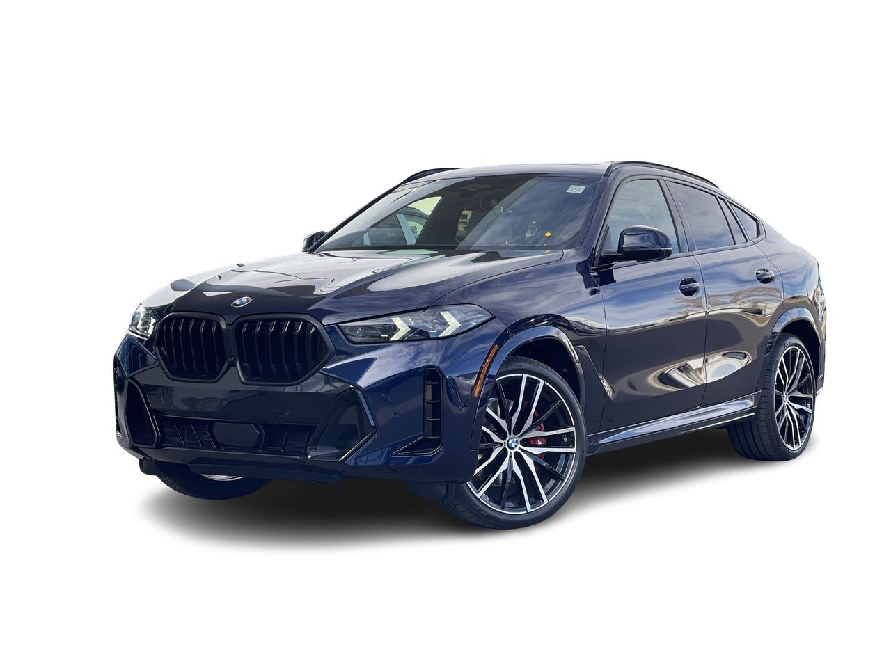 2026 BMW X6