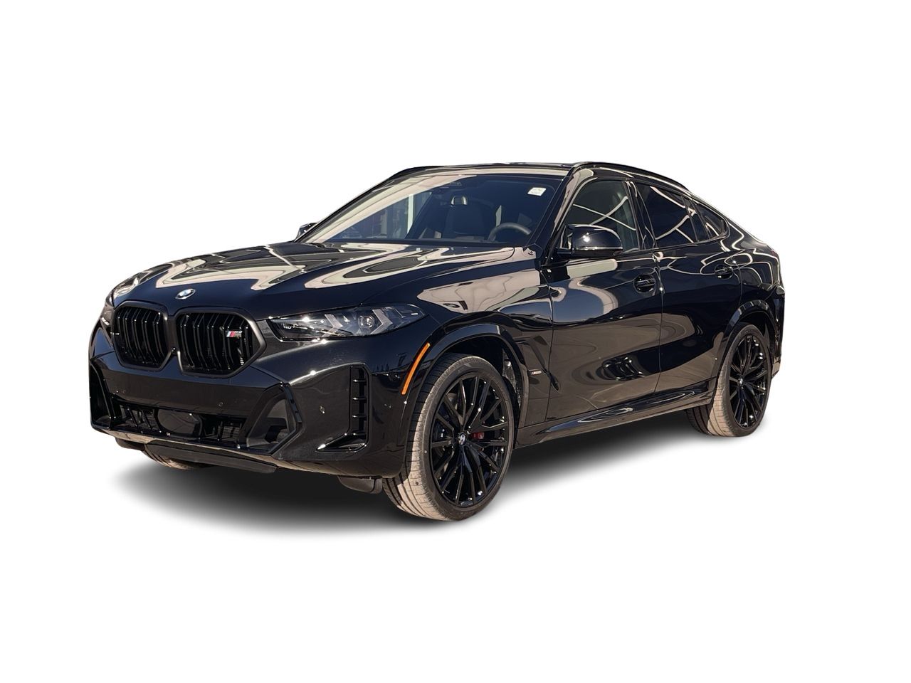 2026 BMW X6
