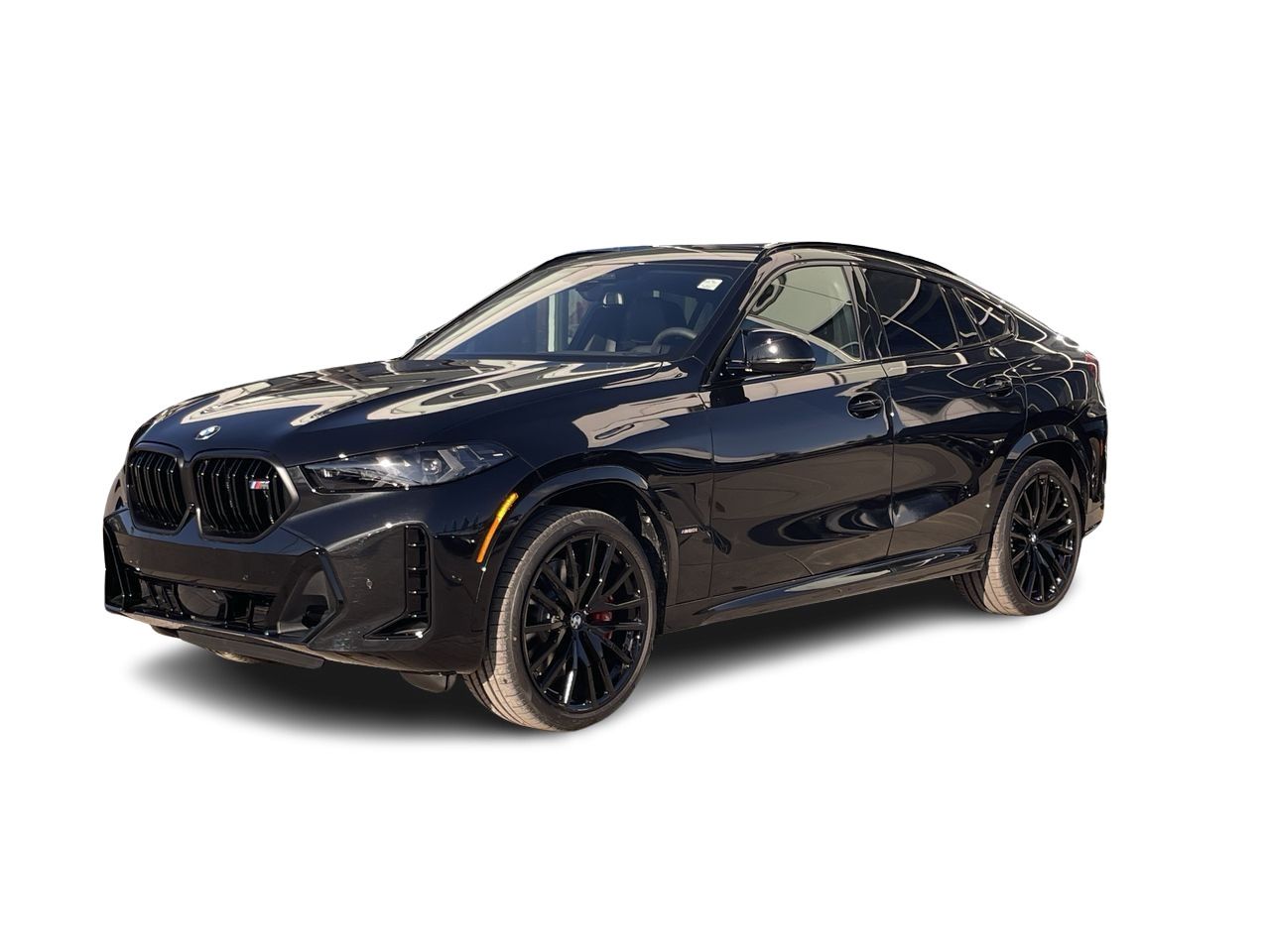 2026 BMW X6