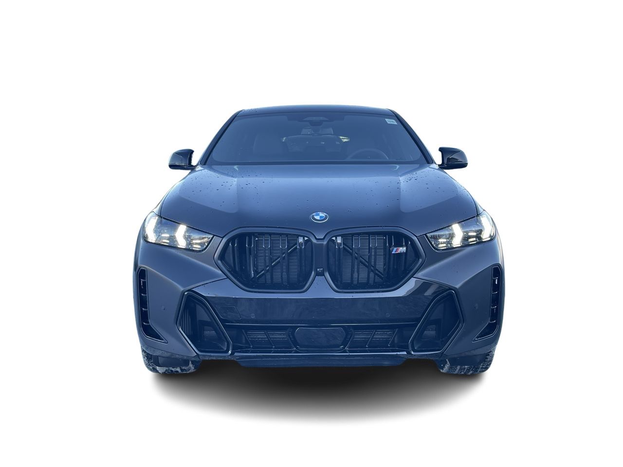 2026 BMW X6