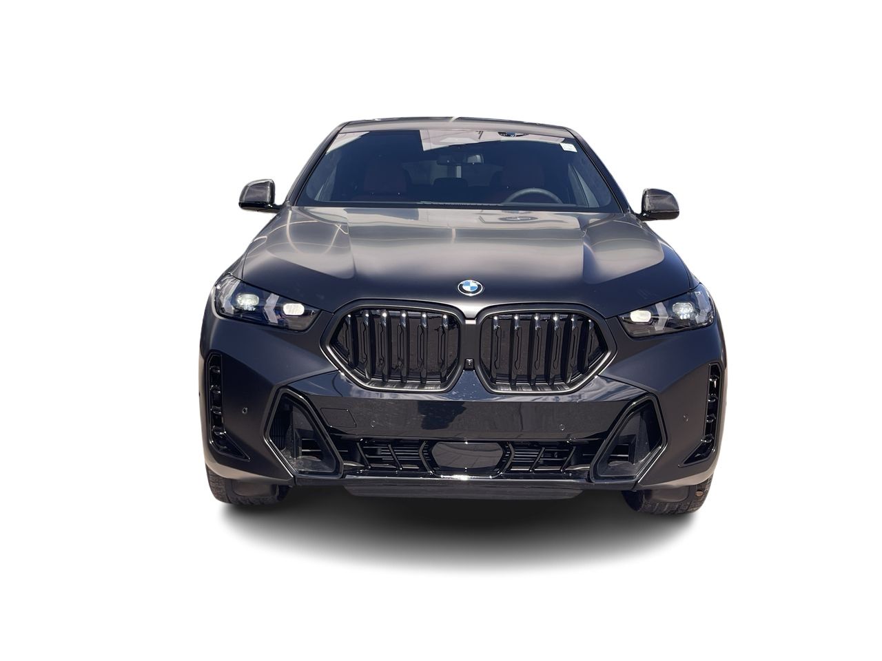 2026 BMW X6