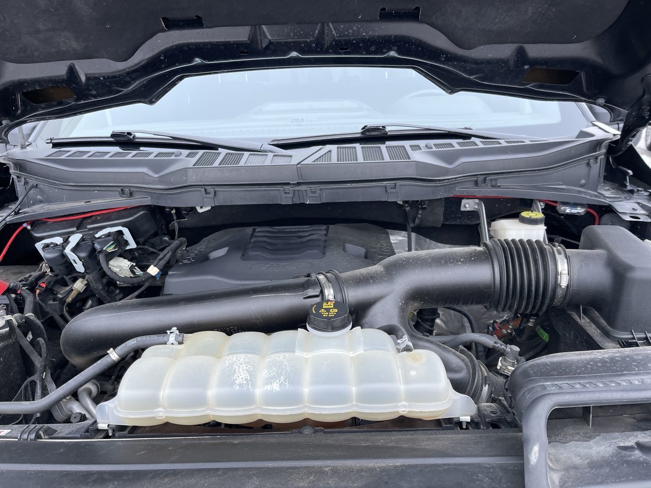 2023 Ford F150 in Calgary, Alberta