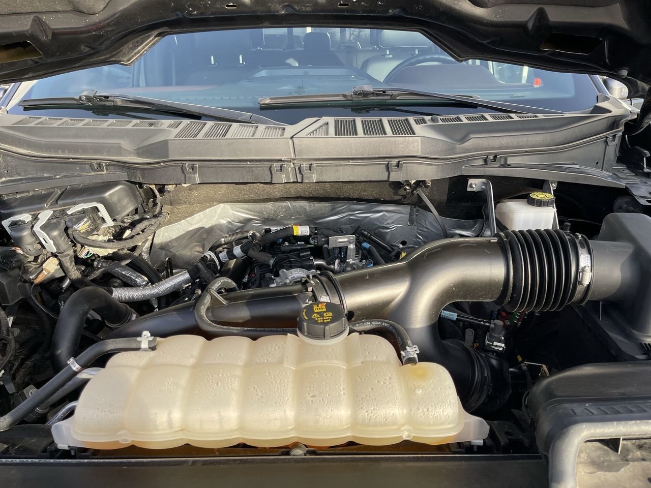 Ford F150  2023 à Calgary, Alberta