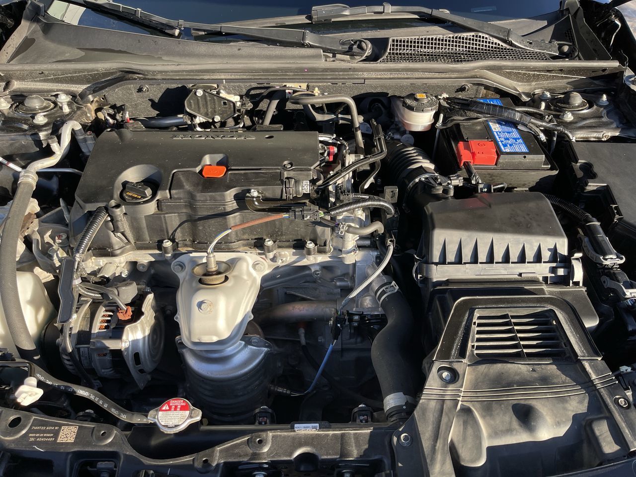 Honda Civic  2023 à Calgary, Alberta