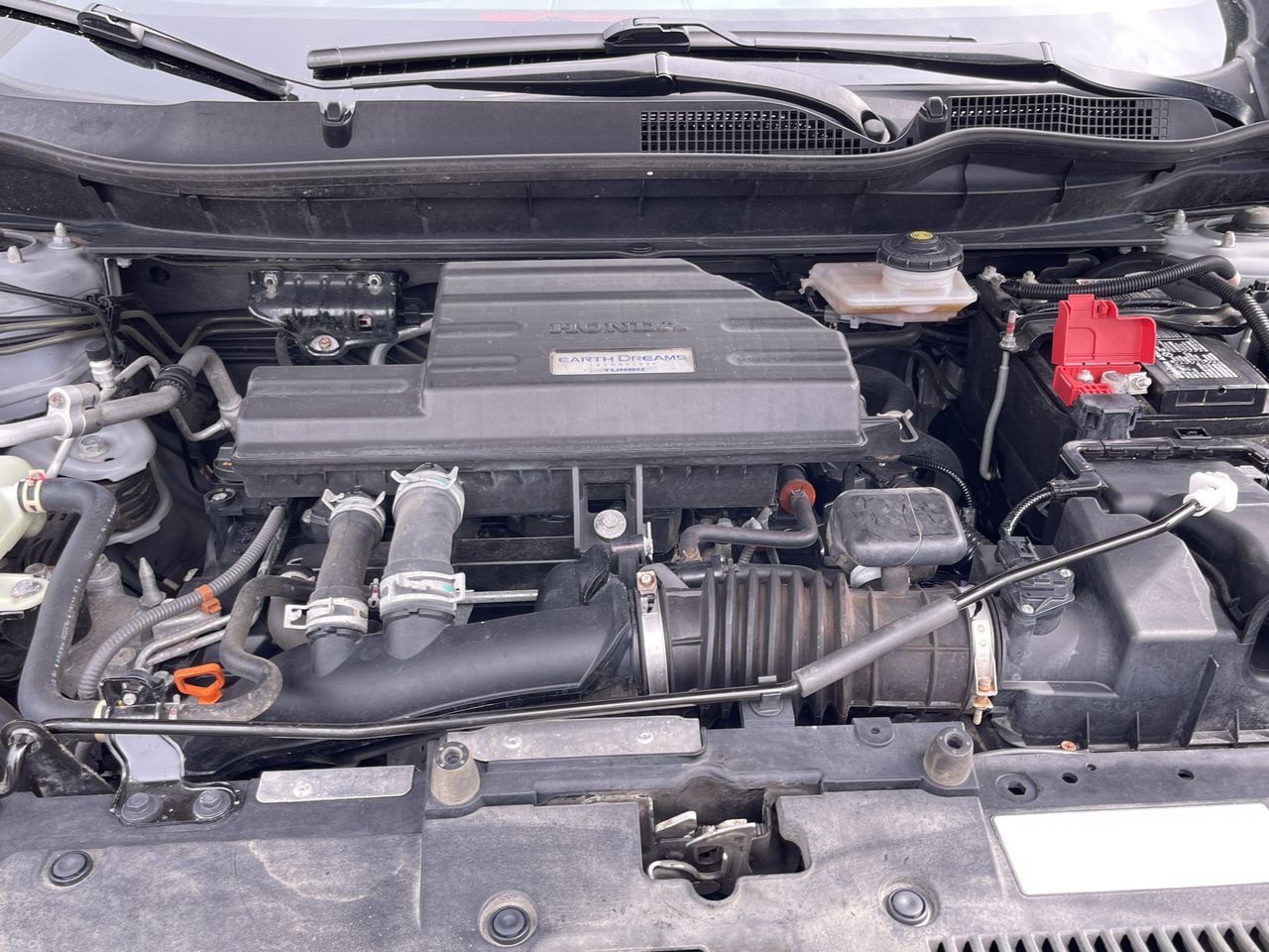 Honda CR-V  2019 à Calgary, Alberta