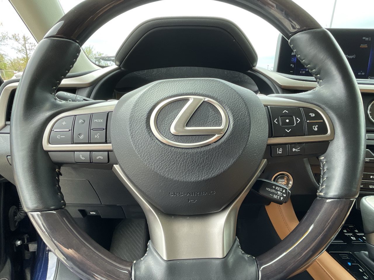 2022 Lexus RX in Calgary, Alberta