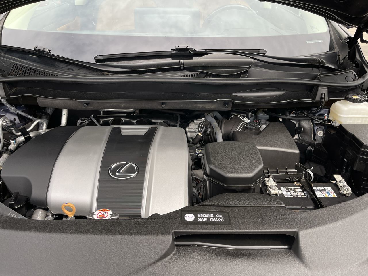 2022 Lexus RX in Calgary, Alberta
