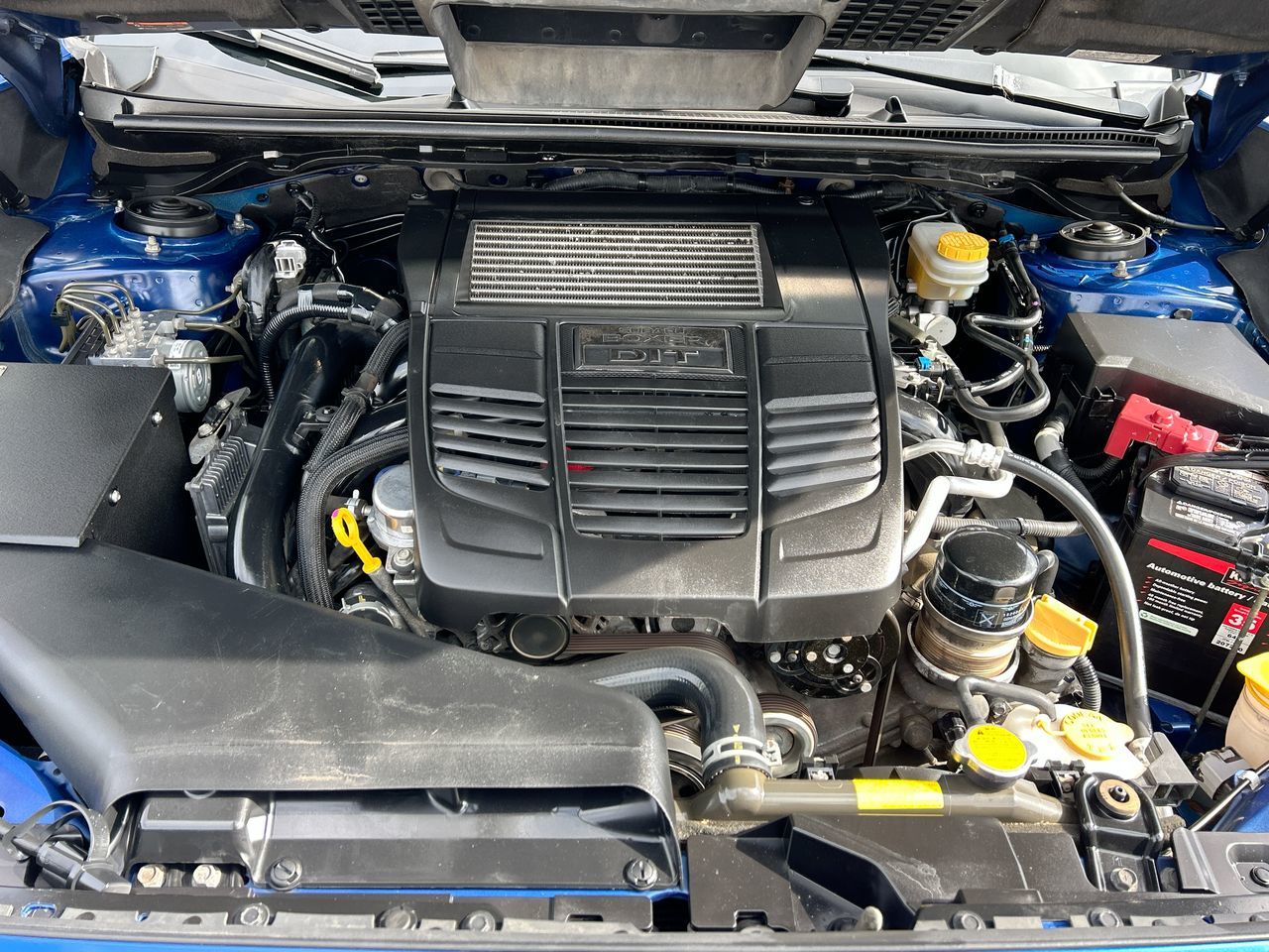 2017 Subaru WRX in Calgary, Alberta