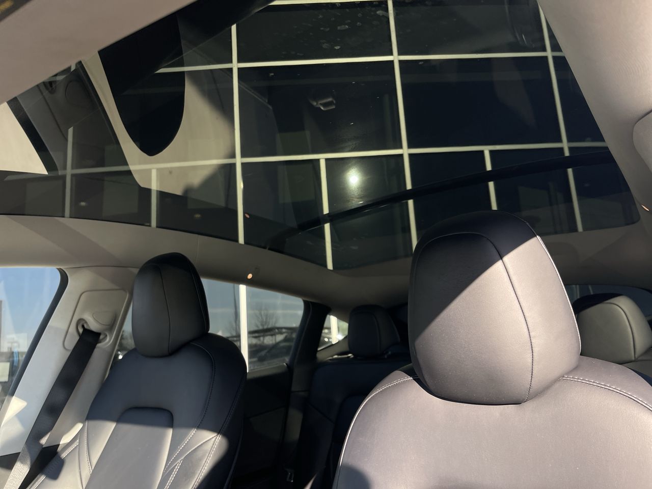 Tesla Model Y  2021 à Calgary, Alberta