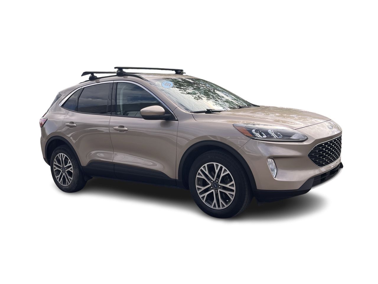 Ford Escape  2021 à Calgary, Alberta