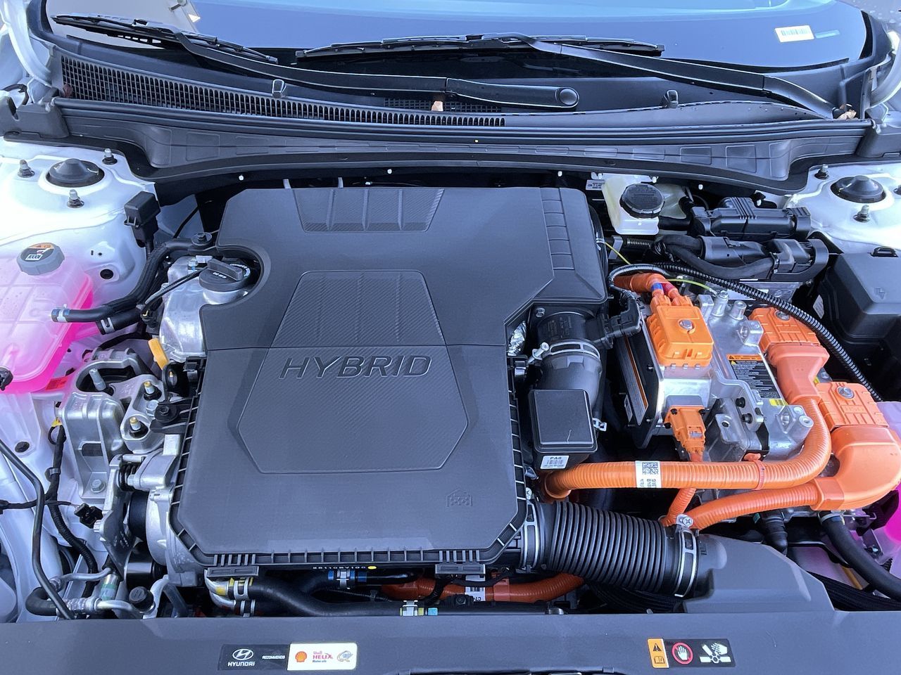 Hyundai Elantra  2023 à Calgary, Alberta