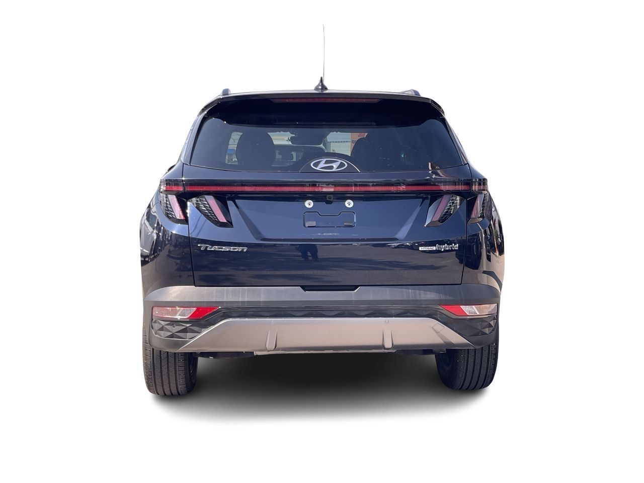 2024 Hyundai Tucson Hybrid in Calgary, Alberta