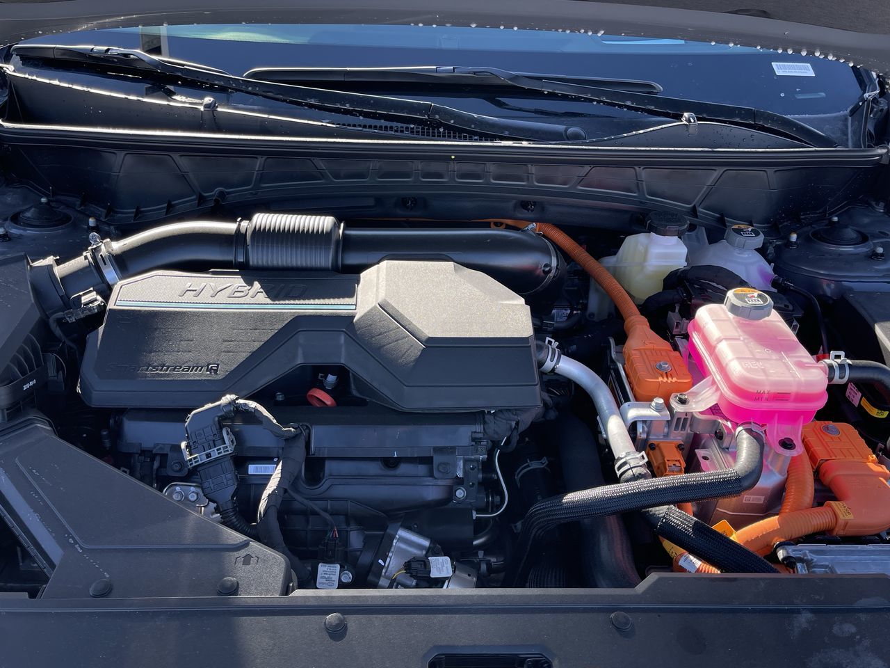 2025 Hyundai Tucson Hybrid in Calgary, Alberta