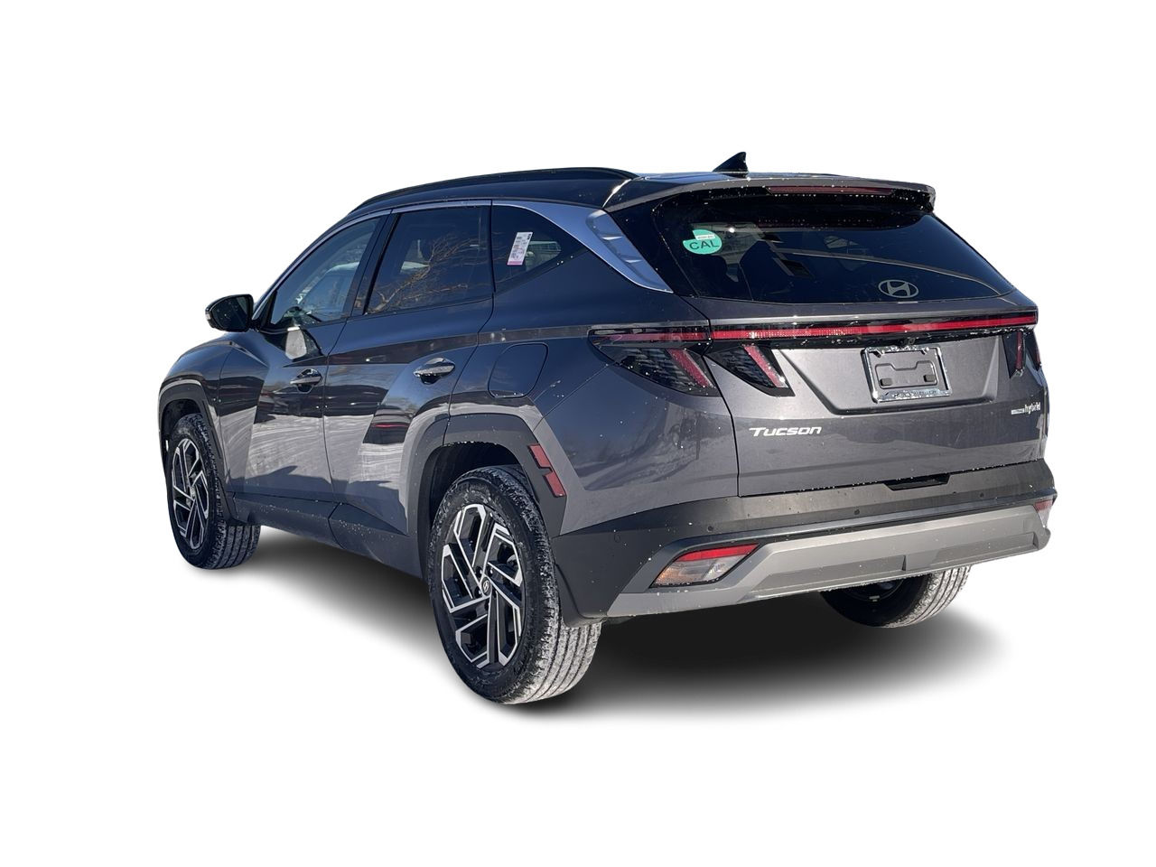 2025 Hyundai Tucson Hybrid in Calgary, Alberta