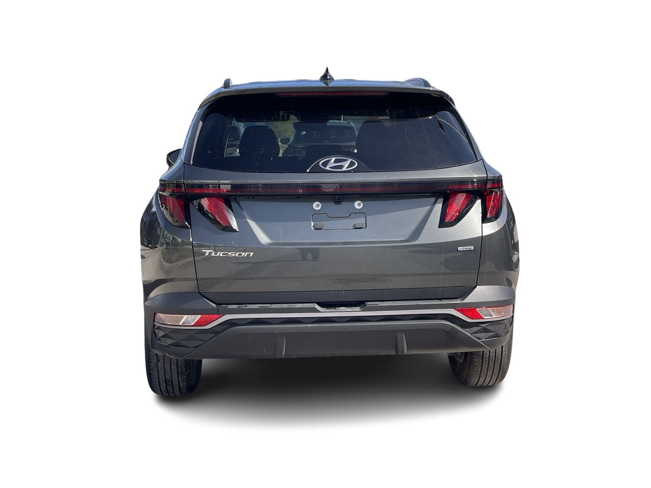 2024 Hyundai Tucson in Calgary, Alberta