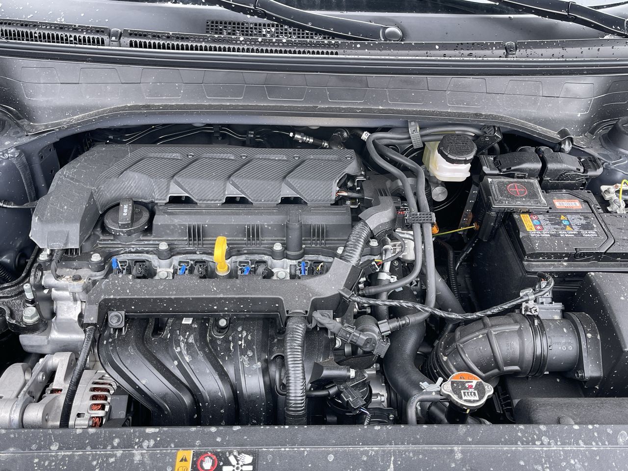 2025 Hyundai Venue in Calgary, Alberta