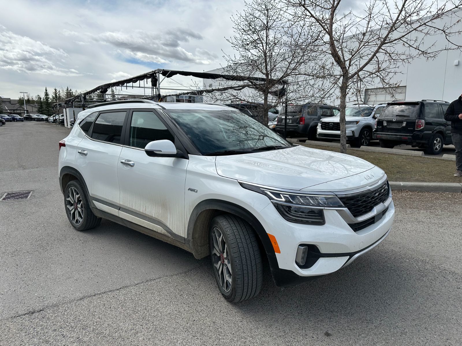 Kia Seltos  2023 à Calgary, Alberta