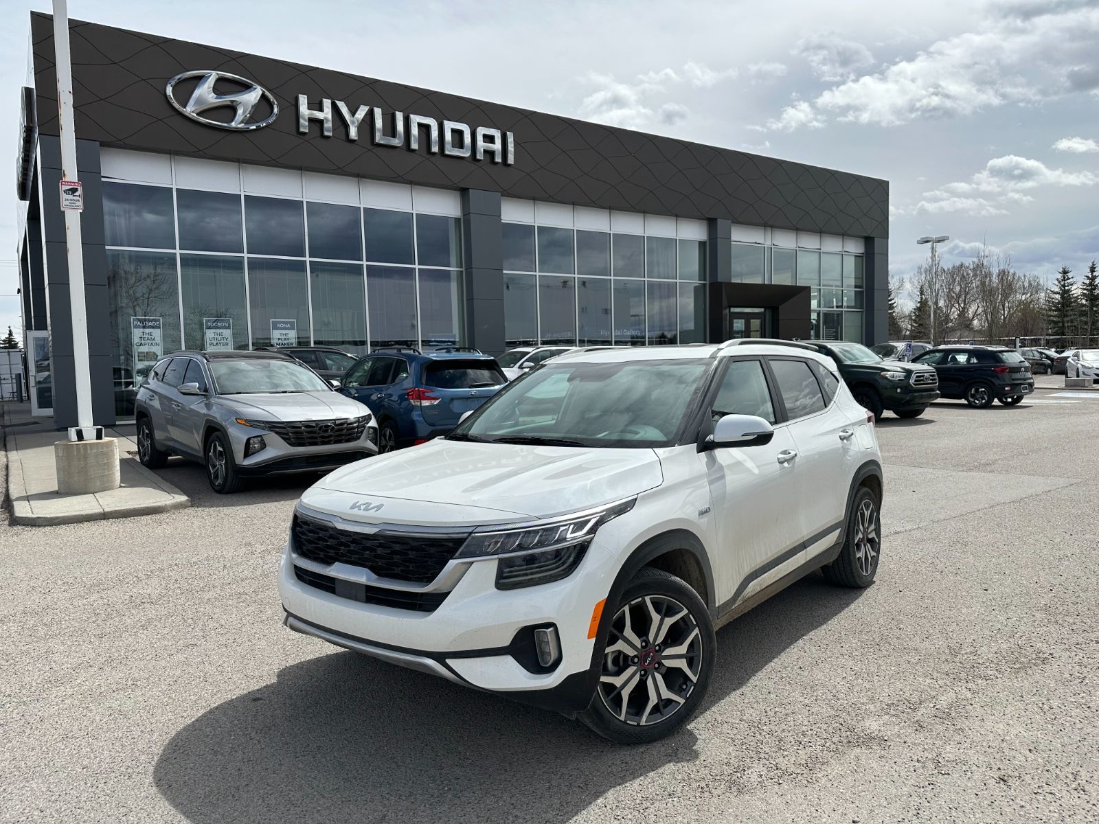 Kia Seltos  2023 à Calgary, Alberta