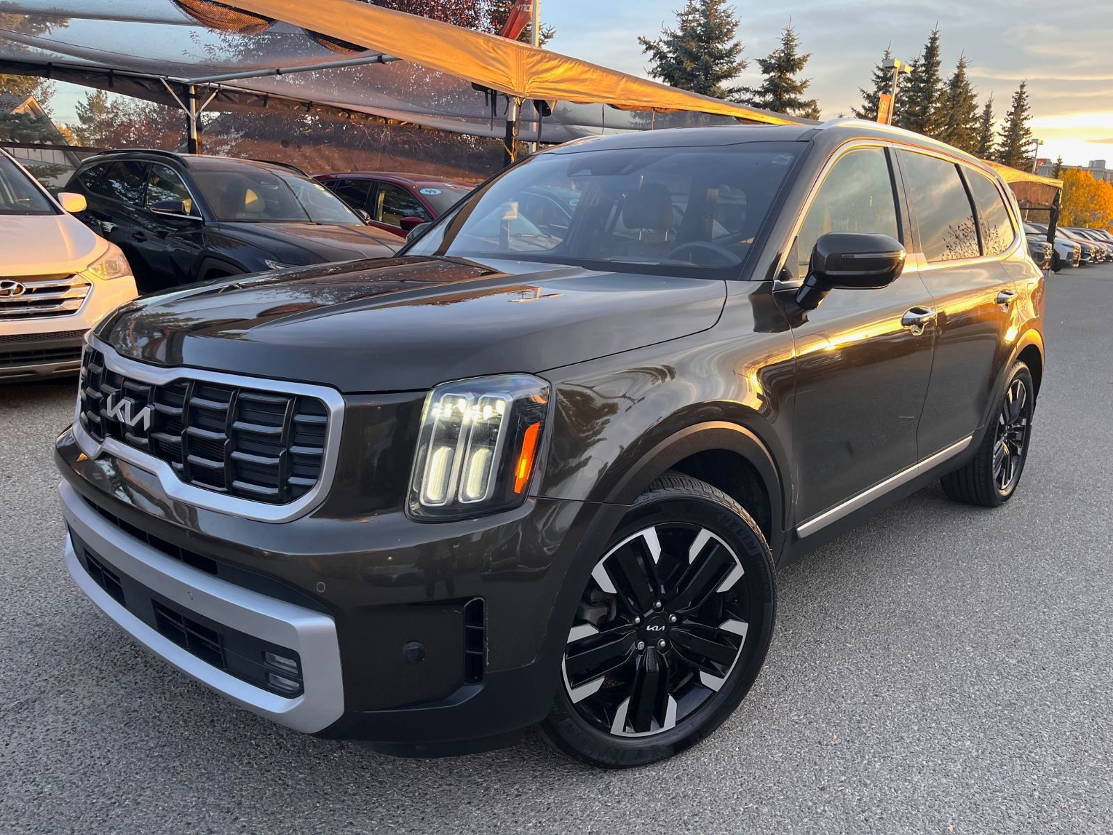 2023 Kia Telluride