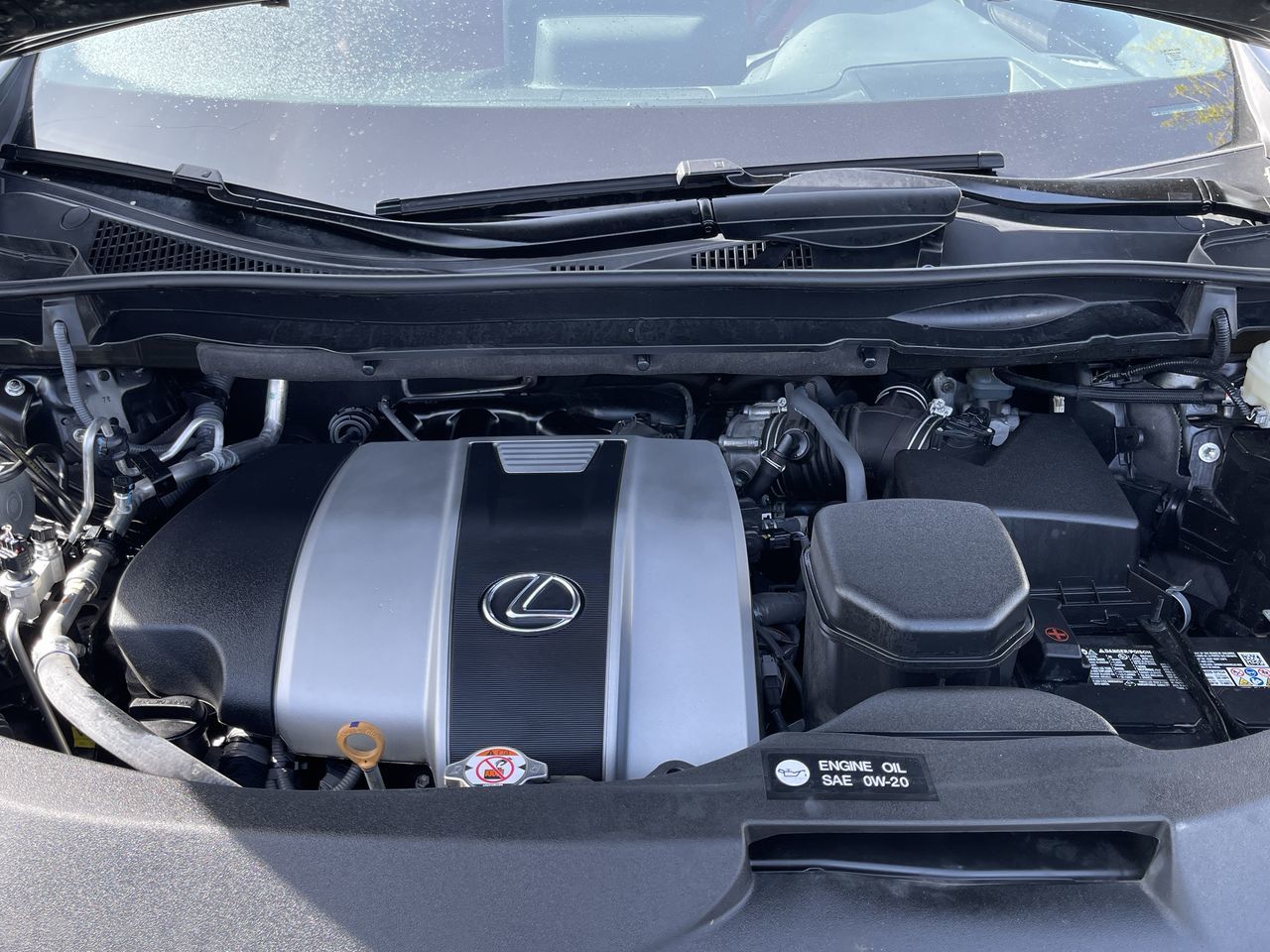 2022 Lexus RX