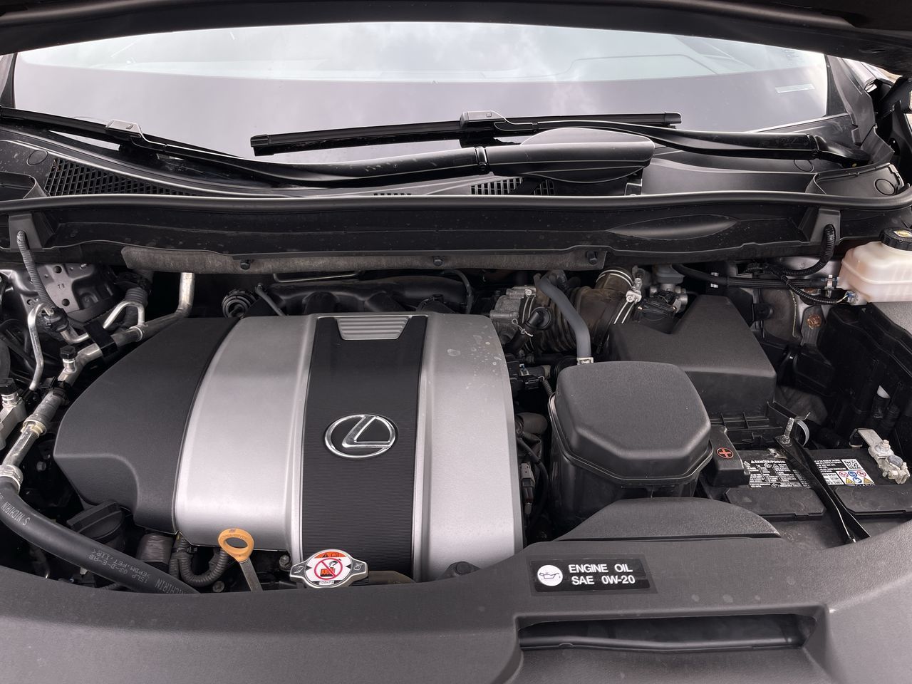 2022 Lexus RX in Calgary, Alberta