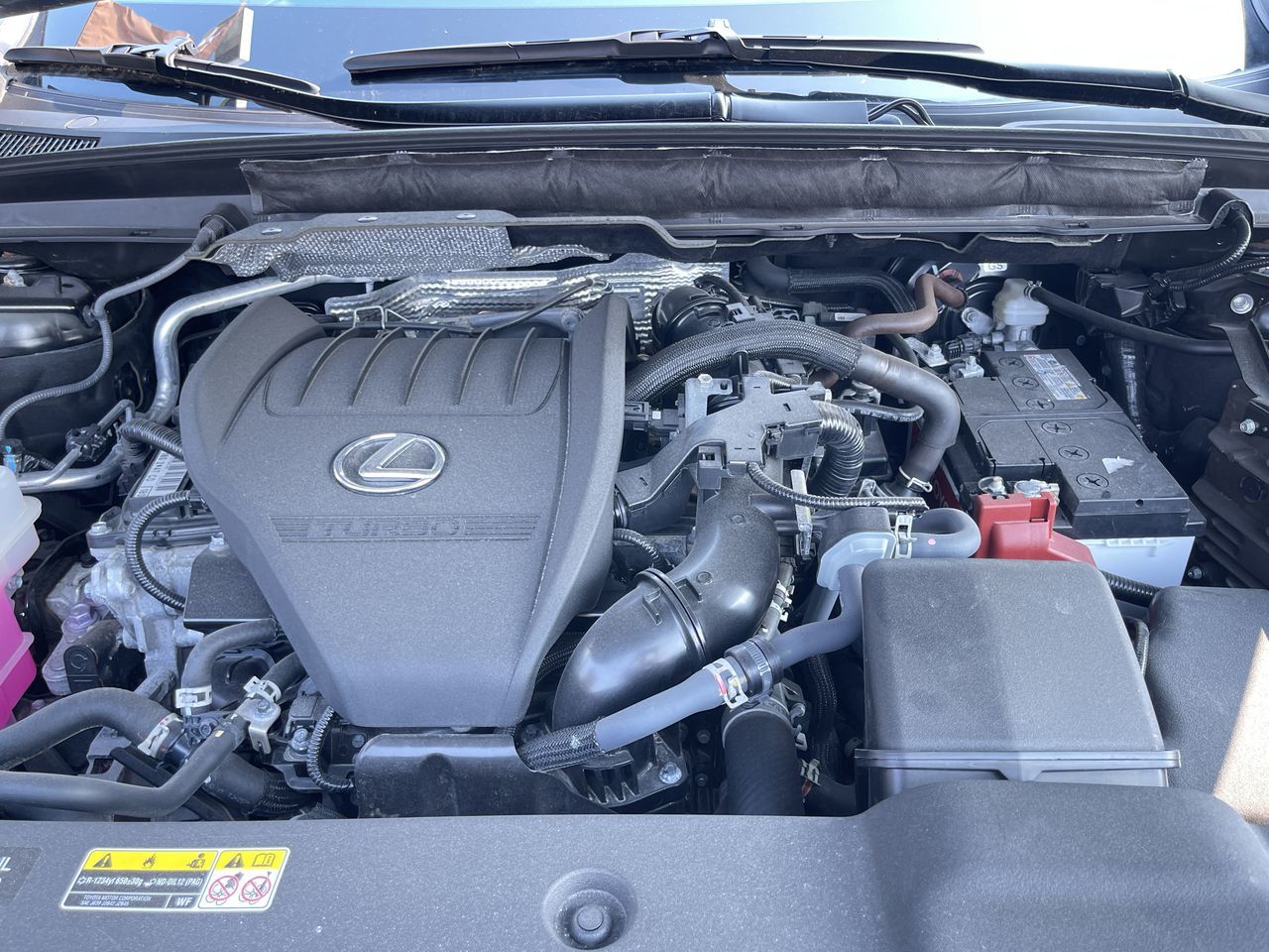 2024 Lexus RX