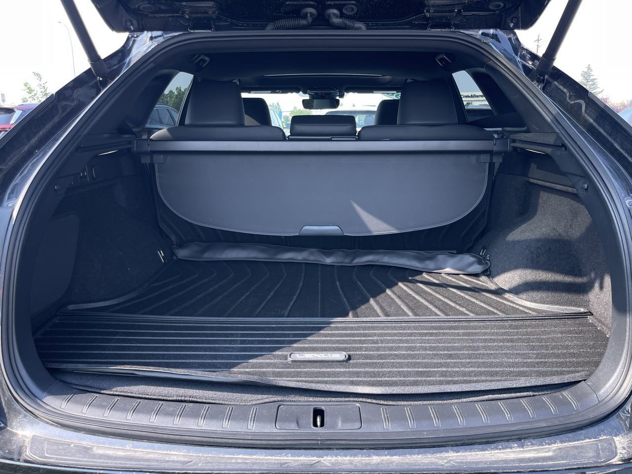 2024 Lexus RX