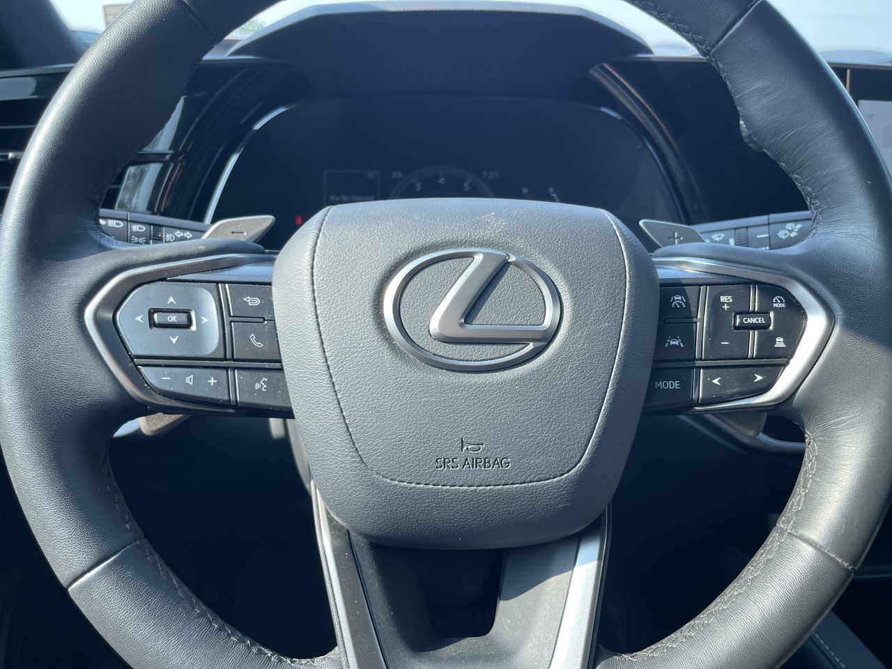 2024 Lexus RX