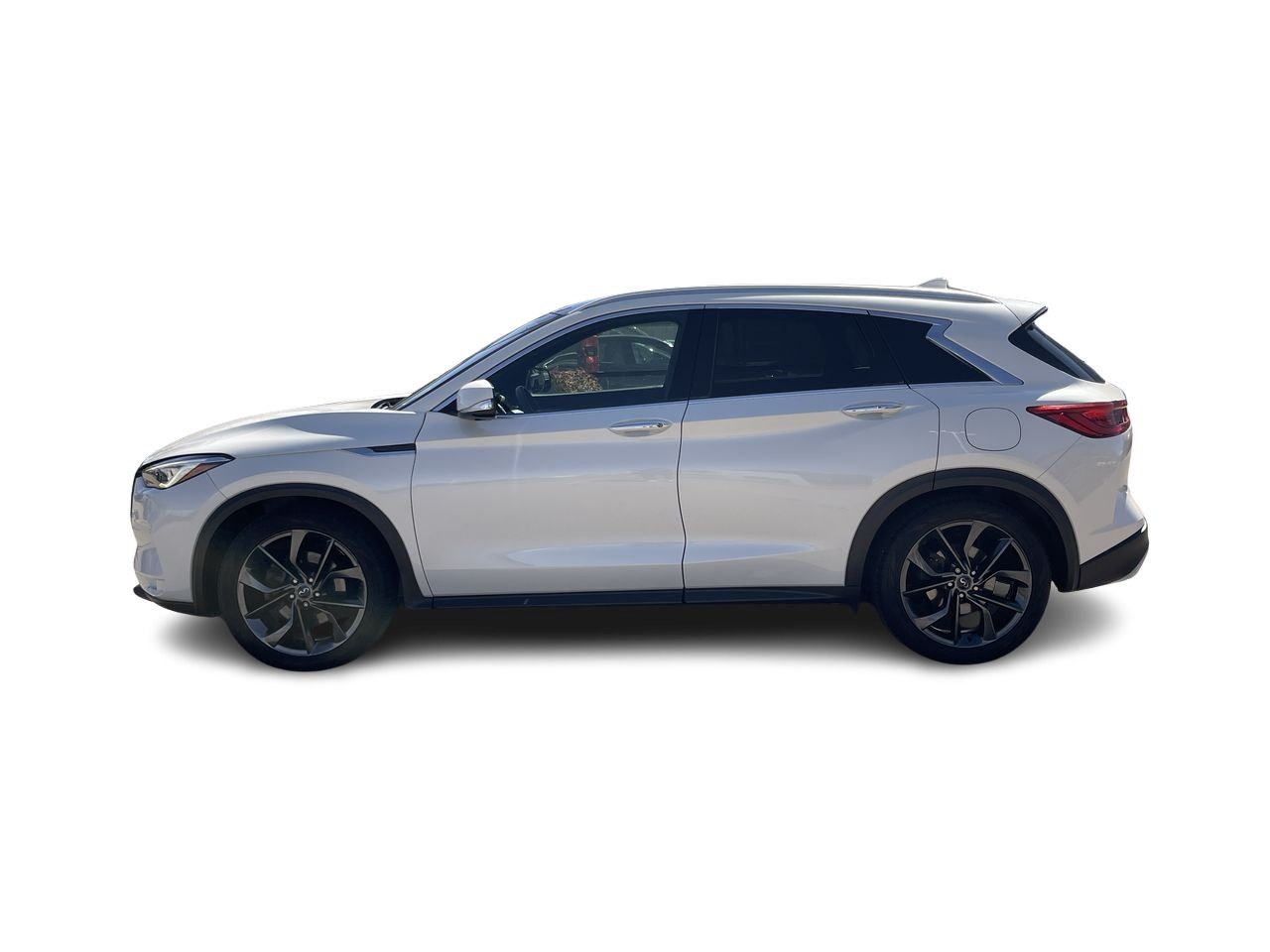 2019 Infiniti QX50 in Calgary, Alberta