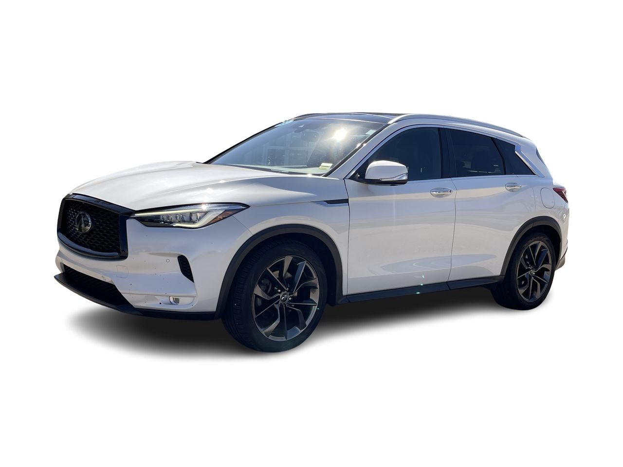 2019 Infiniti QX50 in Calgary, Alberta