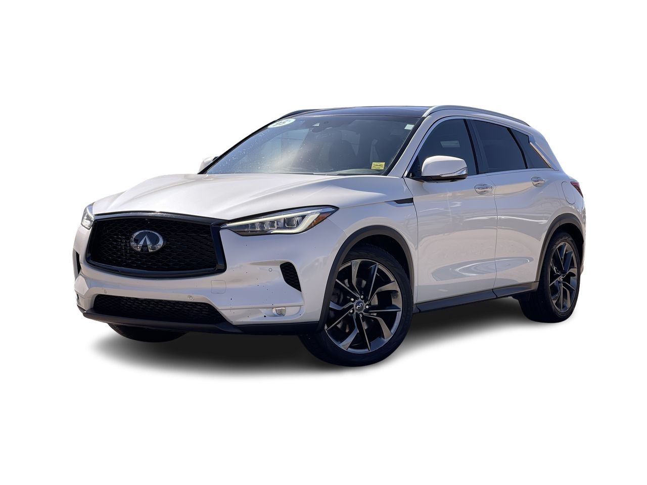 2019 Infiniti QX50 in Calgary, Alberta