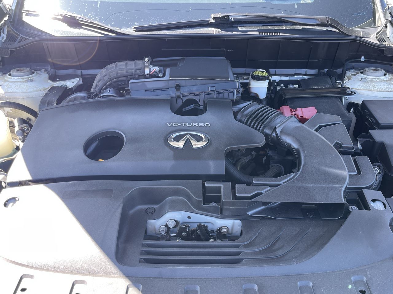 2019 Infiniti QX50 in Calgary, Alberta