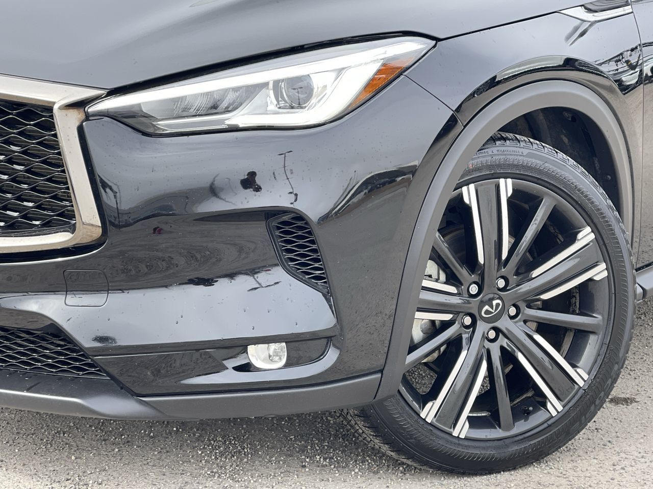 2021 Infiniti QX50 in Calgary, Alberta