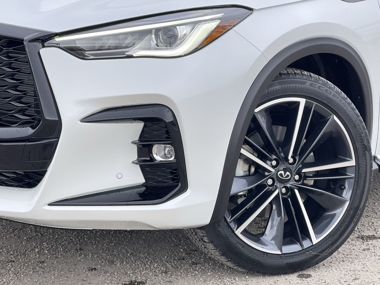 2025 Infiniti QX50 in Calgary, Alberta