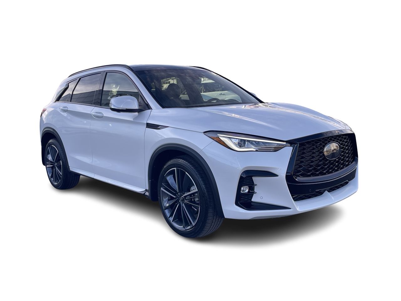 2025 Infiniti QX50 in Calgary, Alberta