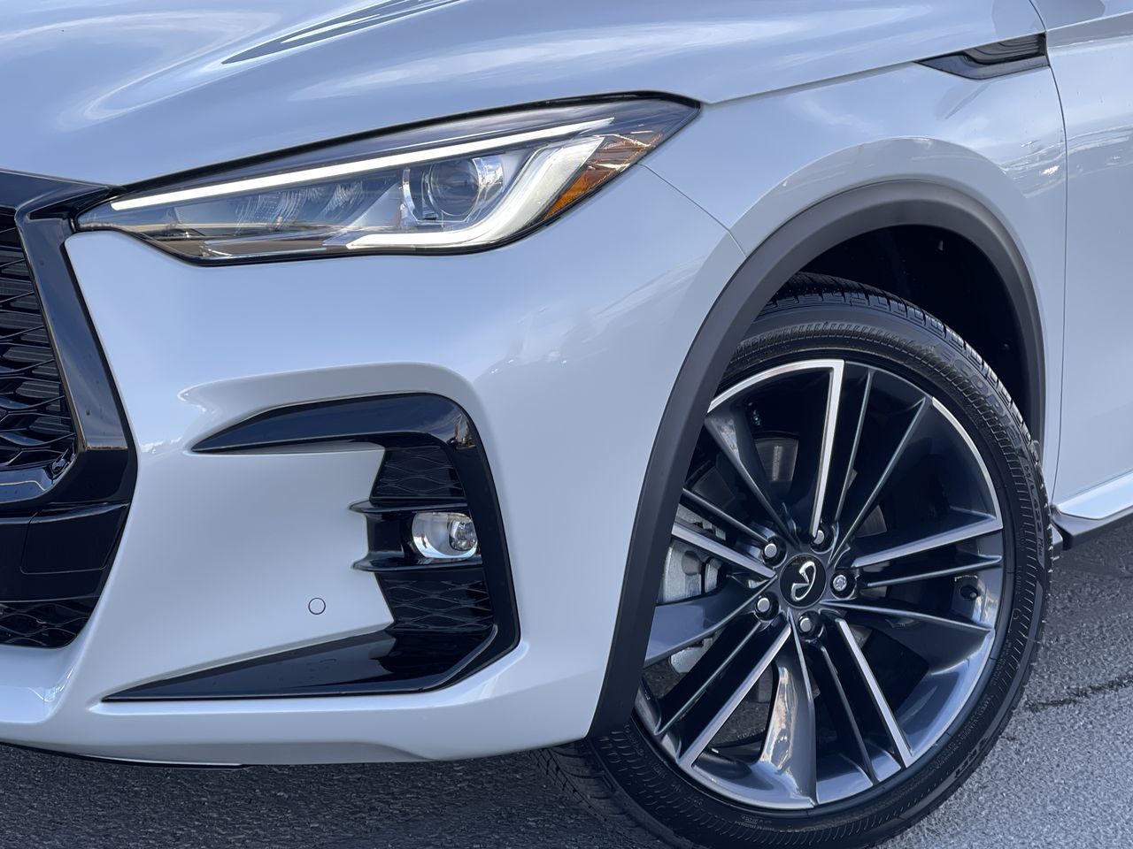 2025 Infiniti QX50 in Calgary, Alberta