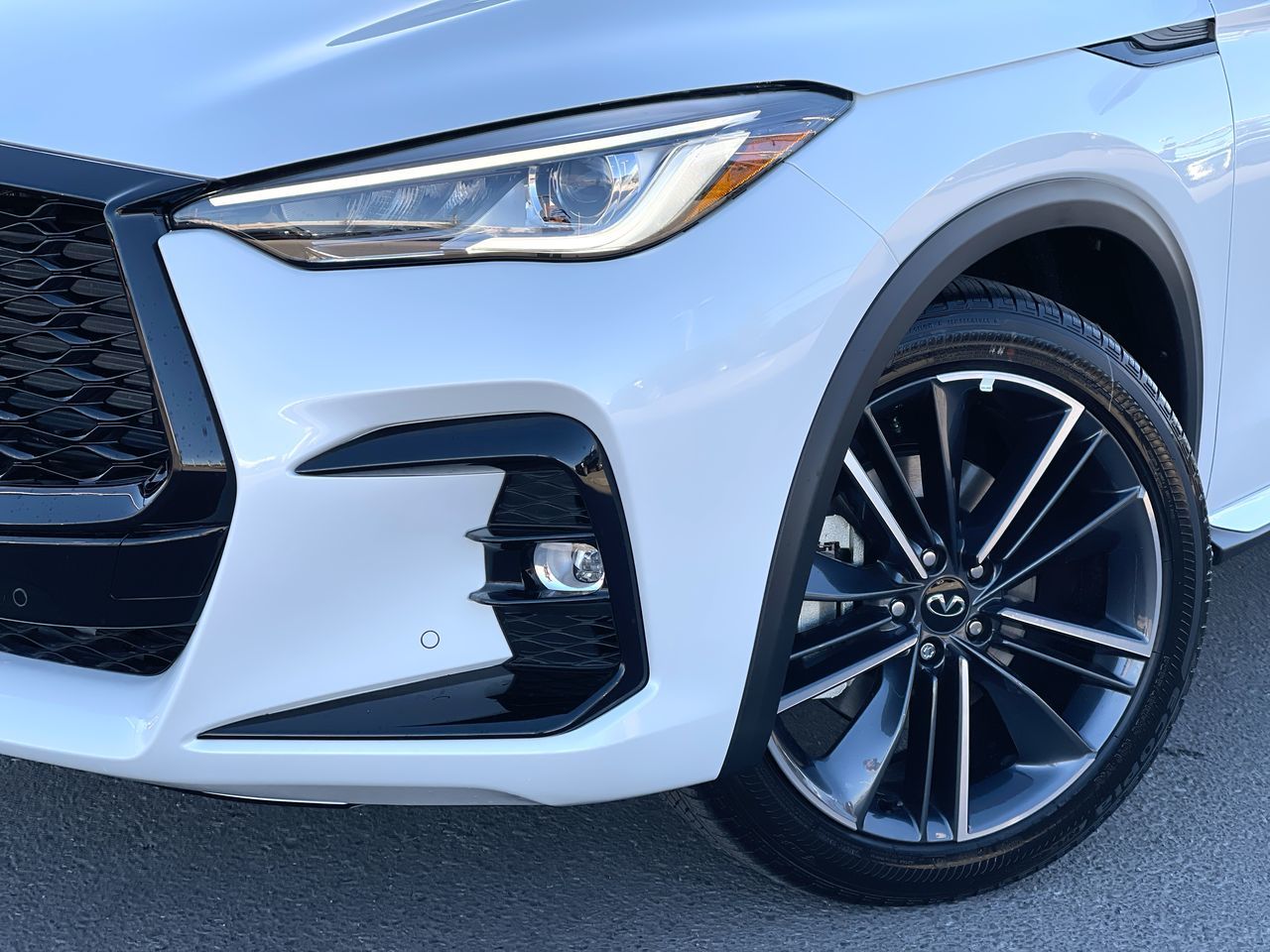 2025 Infiniti QX50 in Calgary, Alberta