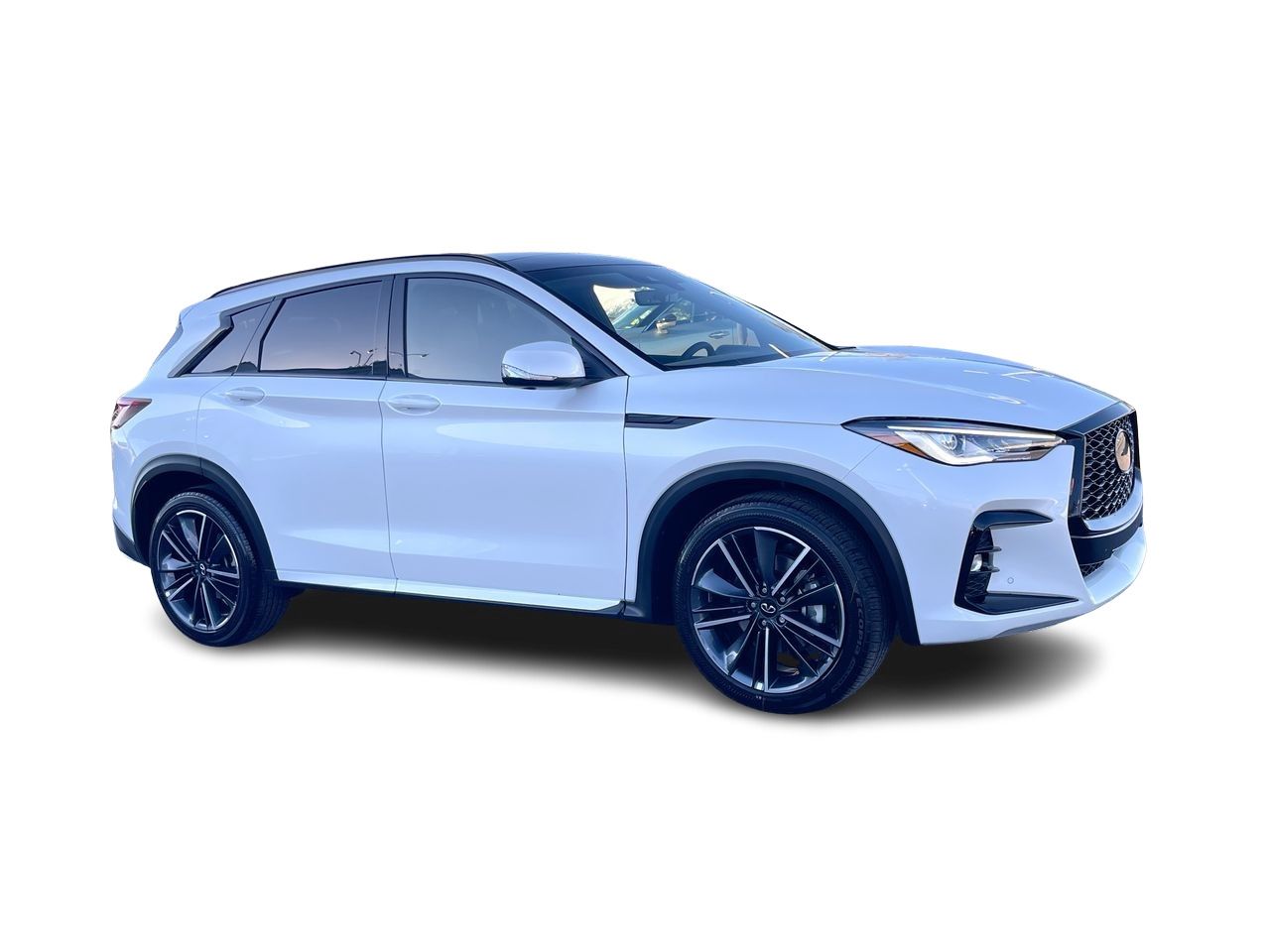 2025 Infiniti QX50 in Calgary, Alberta