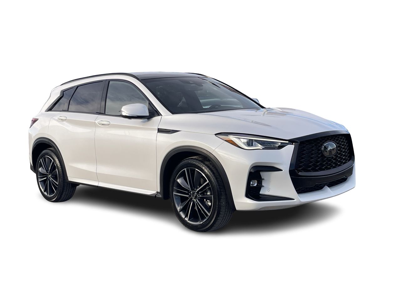 2025 Infiniti QX50 in Calgary, Alberta